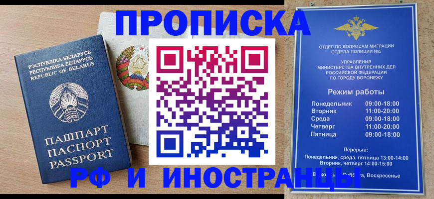 пропишу в квартире в Курской области